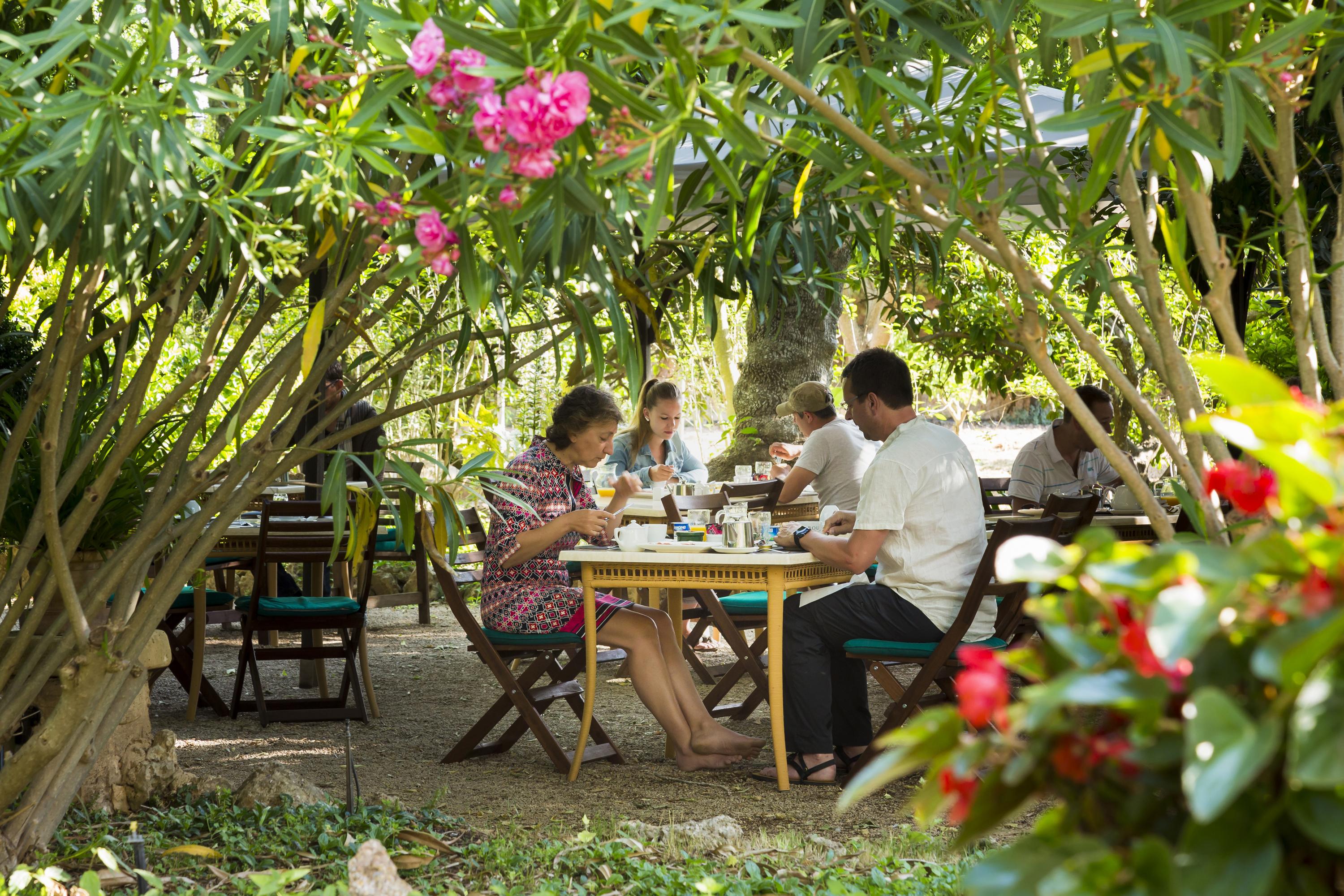 Agroturisme Sa Torre (Adults Only) Santa Eugenia Zewnętrze zdjęcie
