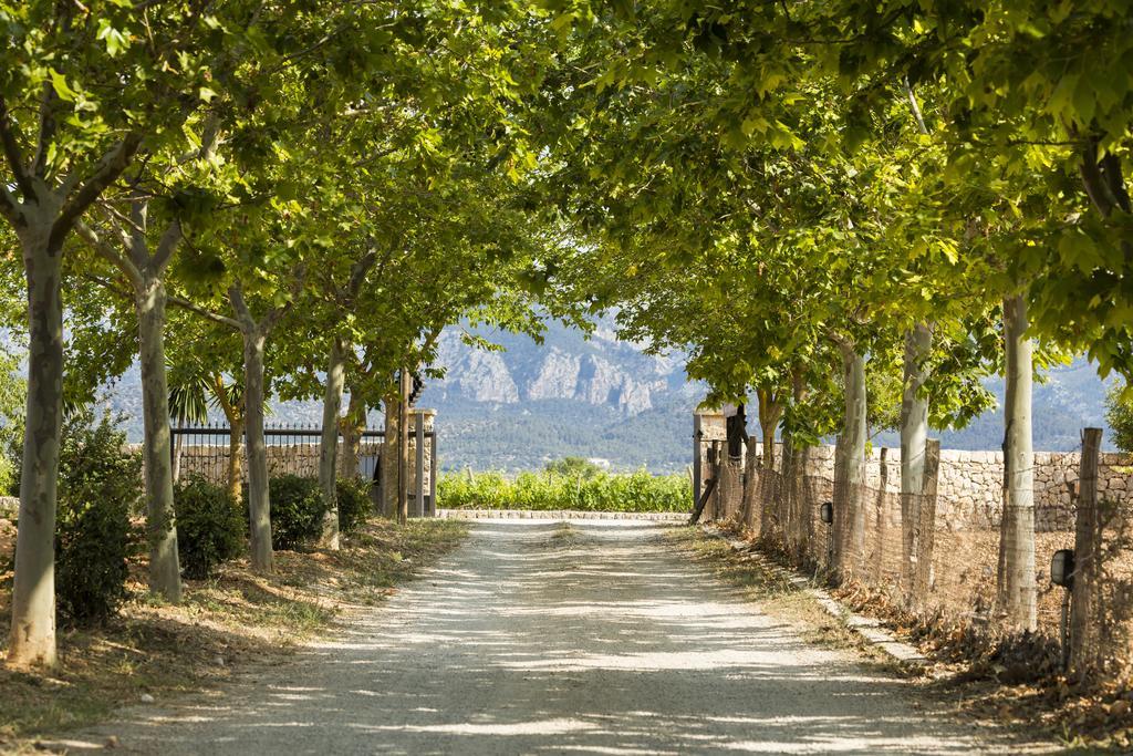 Agroturisme Sa Torre (Adults Only) Santa Eugenia Zewnętrze zdjęcie